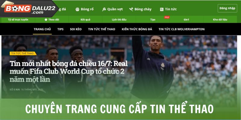 BONGDALU 19 Chuyên trang cung cấp tin thể thao