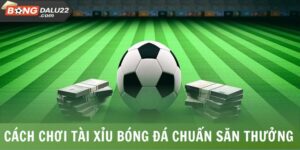 Cách Chơi Tài Xỉu Bóng Đá Chuẩn Săn Thưởng Hậu Hĩnh 7 Cách Chơi Tài Xỉu Bóng Đá