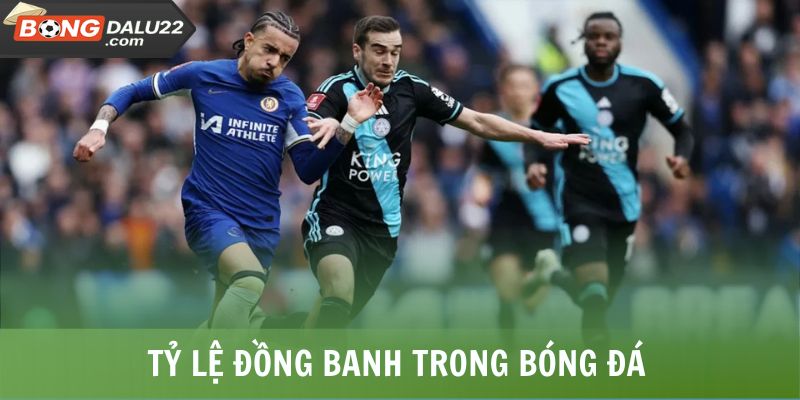 Kèo Chấp Là Gì Và Hướng Dẫn Đọc, Cách Bắt Kèo Trúng Lớn 6 Tỷ lệ đồng banh trong bóng đá