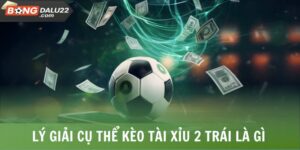 Lời Giải Đáp Tài Xỉu 2 Trái Là Gì Chi Tiết Từ BONGDALU 6 Tài Xỉu 2 Trái Là Gì