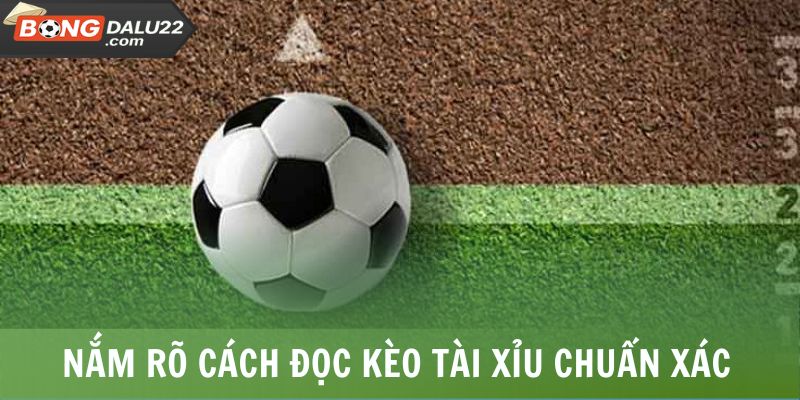 Cách Chơi Tài Xỉu Bóng Đá Chuẩn Săn Thưởng Hậu Hĩnh 6 Nắm rõ cách đọc kèo tài xỉu chuẩn xác