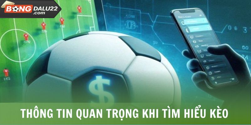 Lời Giải Đáp Tài Xỉu 2 Trái Là Gì Chi Tiết Từ BONGDALU 6 Những thông tin quan trọng khi tìm hiểu kèo