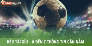 Kèo Tài Xỉu - A Đến Z Thông Tin Người Chơi Cần Nắm 8 Kèo Tài Xỉu